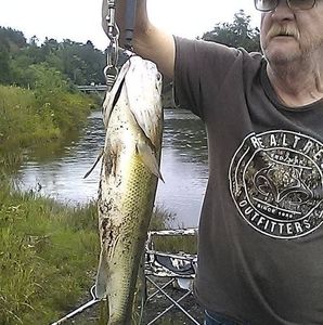 Meet your Posher, Paul